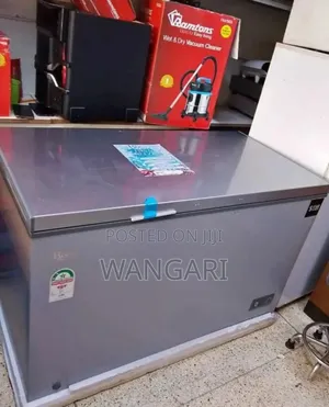 250litres Deep Freezer Rebune