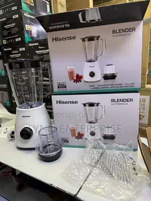 2 In1 Hisense Blender