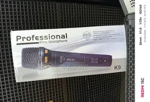 Professional Wire Microphone