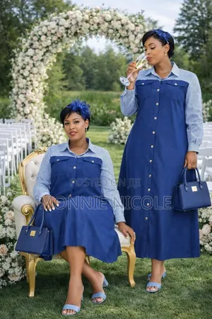 Beautiful Denim Shift Dress