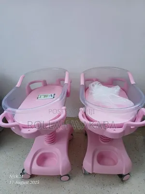 Luxurious Baby Bassinet