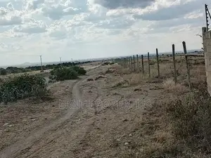 Rare Quarter Acre in Olpejeta Ridge