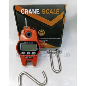 300kg Crane Hanging Scale Weighing Scale