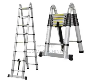 Double Sided Telescopic Ladder