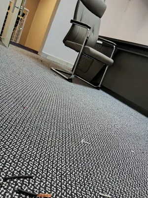 Cut to Size Black and White Dotted Floor Wall to Wall Office Carpets