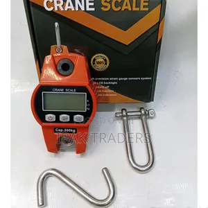 300kg Digital Crane Scale - Industrial High-Precision Hanging