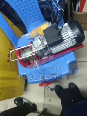 Electric Hoist 500kg/Hoist