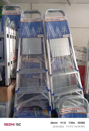 Aluminium Ladder En131