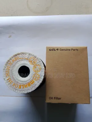 Oil Filter for Hyundai Santa Fe/Palisade 2020 (Genuine)