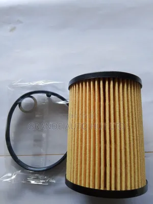 Oil Filter for Hyundai Santa Fe 2021 (Genuine)