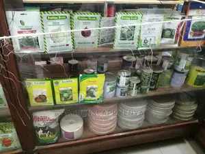 Vegetable Seedlings And Seeds