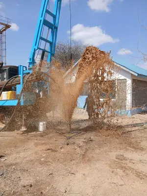 Borehole Flushing