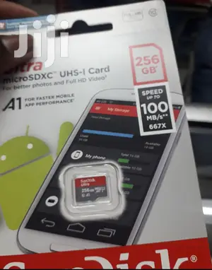 256 GB Sandisk Memory Card.