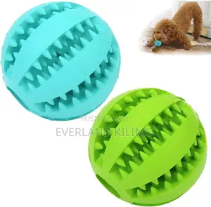 Interactive Dog Toy Ball for Treats-L