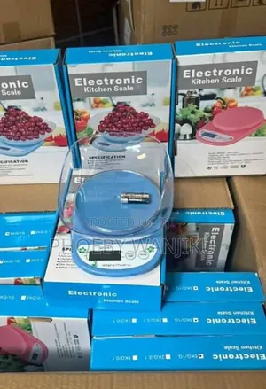 Digital Electric Kitchen Scale/Kitchen Scale