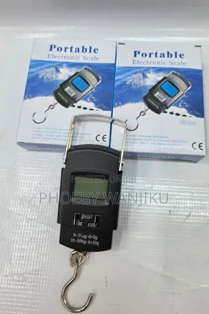 Portable Electronic Scale/Quality Portable Electronic Scale