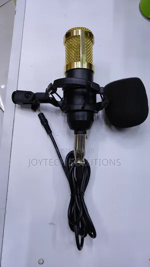 V8 Condenser Microphone