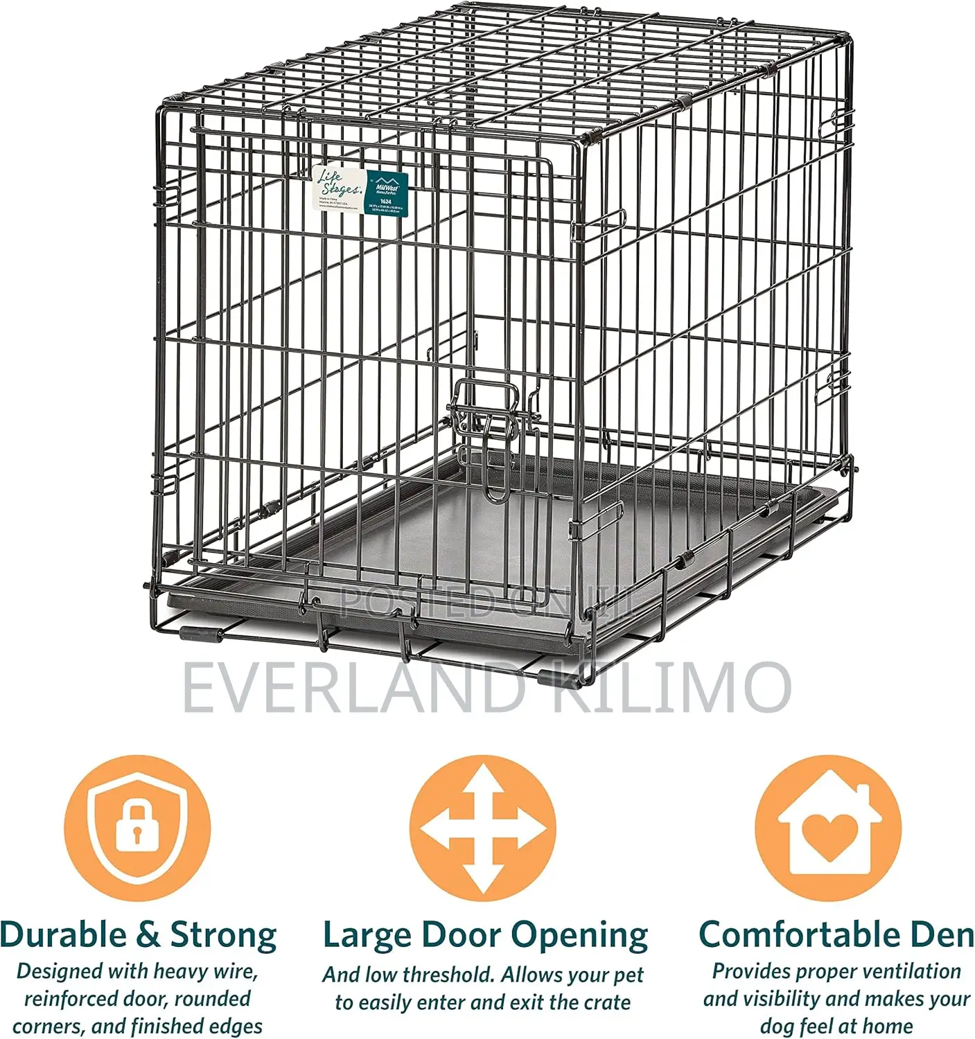 Homes for Dogs-S