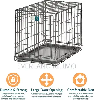 Homes for Dogs-S