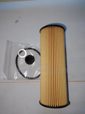 Oil Filter Diesel for Hyundai Santa Fe 2021 (Autotex Brand)