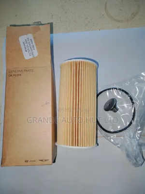 Oil Filter for Hyundai Santa Fe/Kia Sorento Diesel (Genuine)