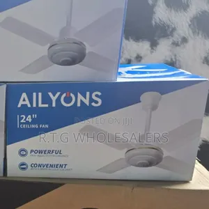 Ailyons 24 Inch Ceiling Fan With Quiet Operation