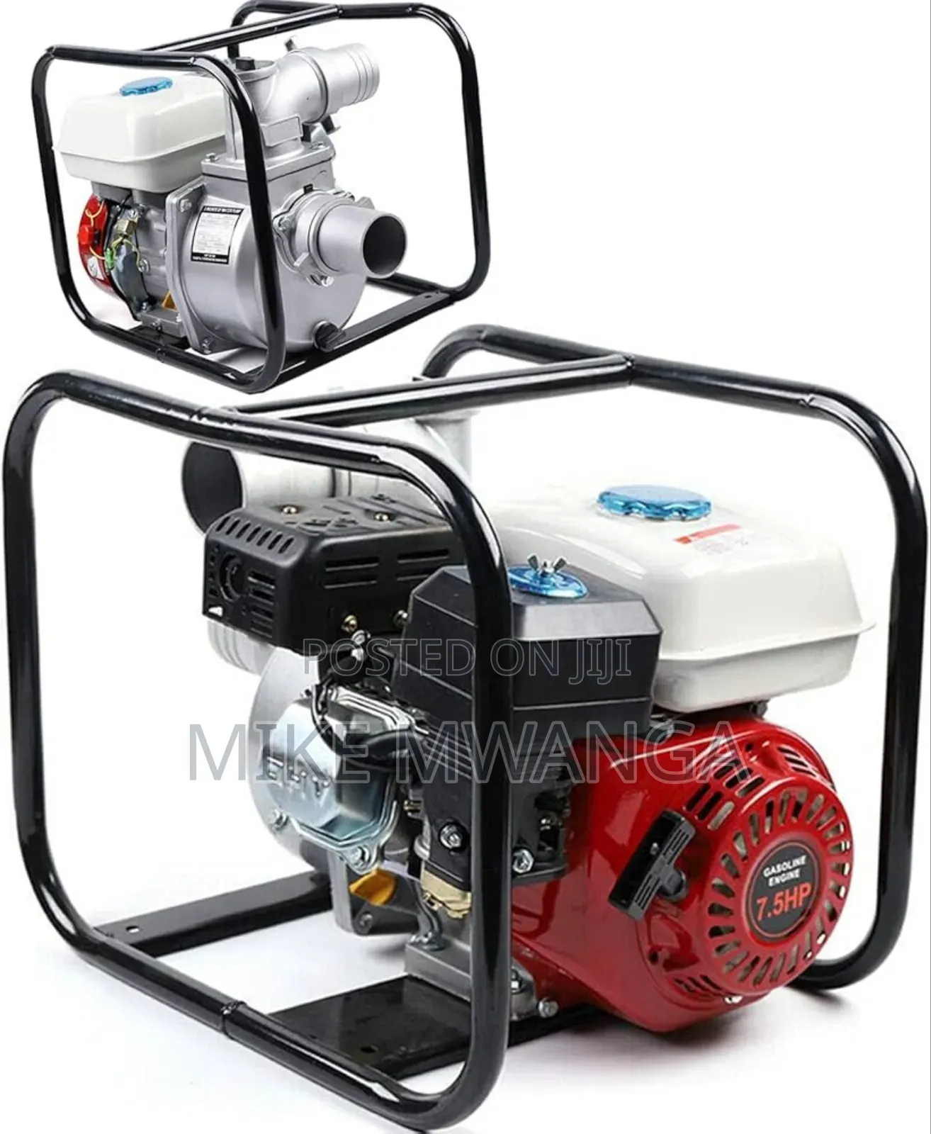 Windsor Gasoline Water Pump