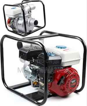 Windsor Gasoline Water Pump