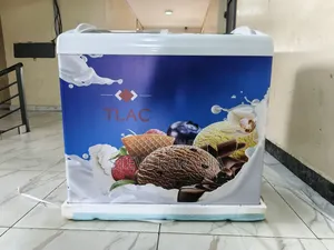 Tlac Showcase Freezer 256l Capacity
