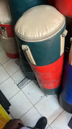 Professional 40kg Hanging Boxing Bag With Chains