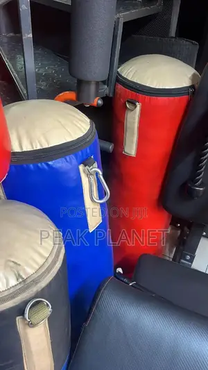 Gym Quality 40kg Punching Bag for Mma Kickboxing