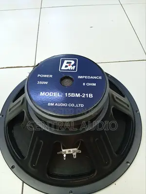 Bm Az 2 15inch Naked Speaker