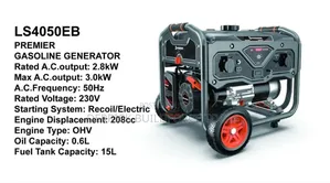 Ls5050eb Premier 3.0kw Premier Gasoline Generator
