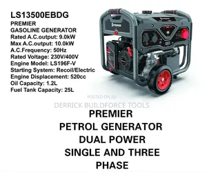 Ls13500ebdg 10kw Premier Petrol Generator Dual Phase Generator