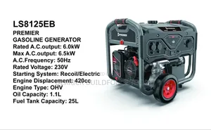 Ls8125eb 6.5kw Premier Gasoline Generator