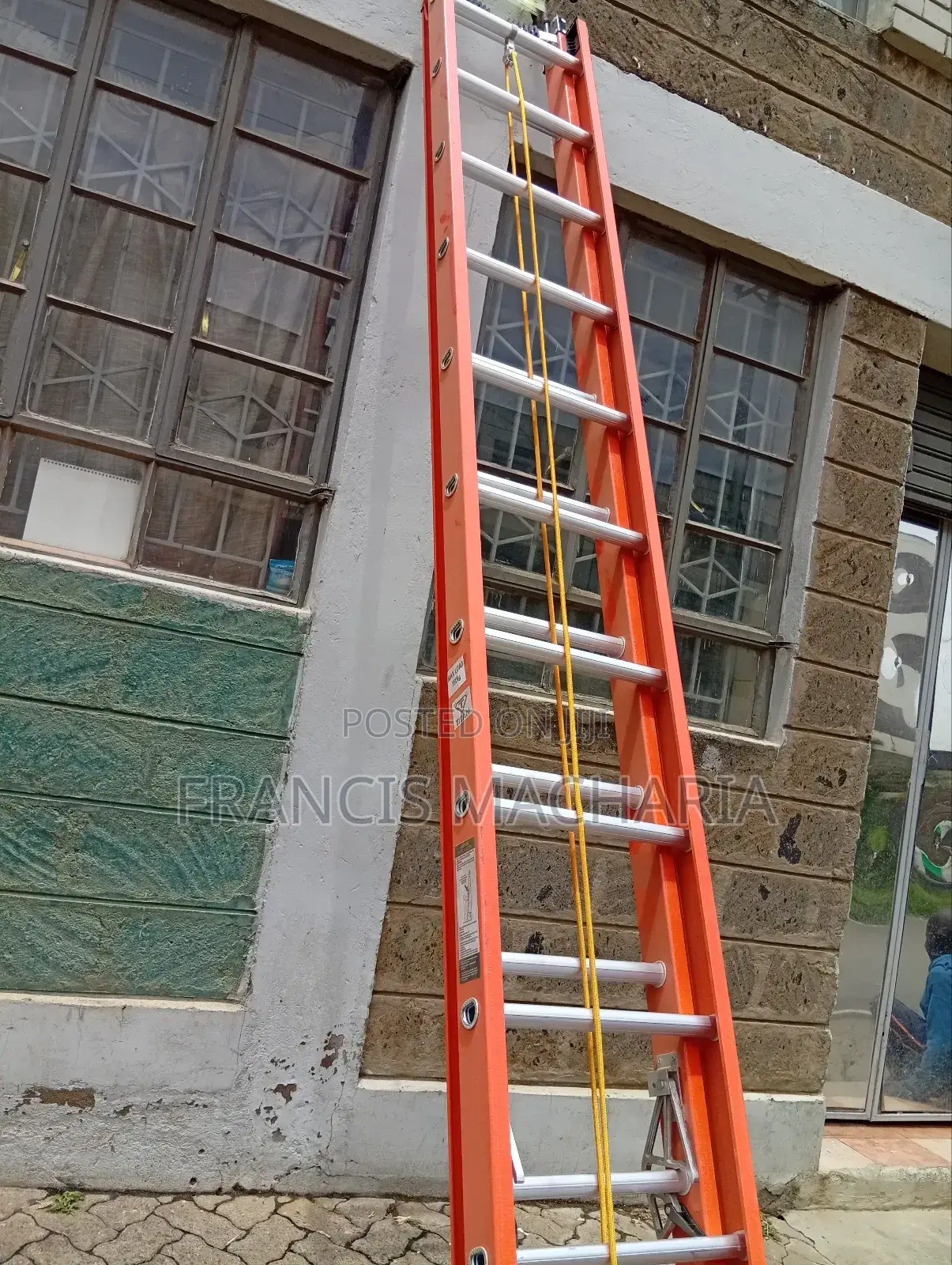 Fibregrass Ladder New