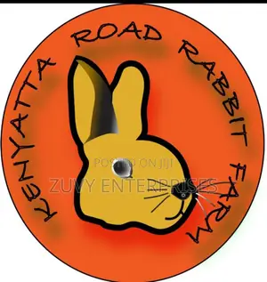 Rabbits for Sale Meat Breeding Etc
