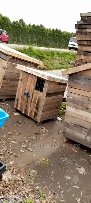 Dog Kennel