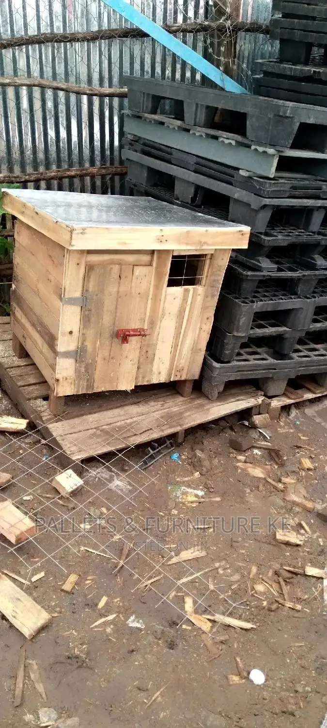 Dog Kennel