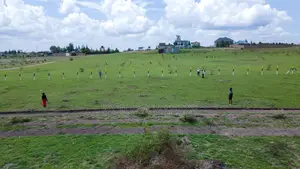 50*100 Kantafu /Malaa