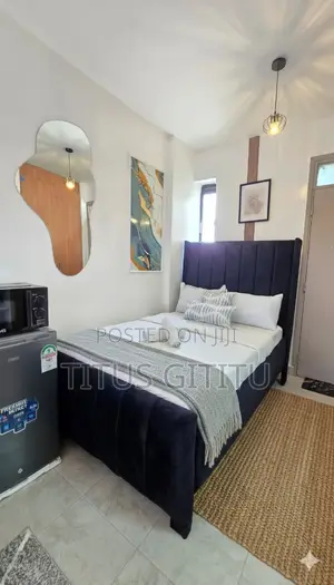 Affordable Studio Roysambu Near TRM | Safari Park | Thika Rd |