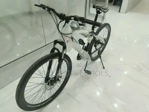 Premier Gallaven Bicycle