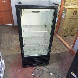 Min-Small Size Display Fridge(100)