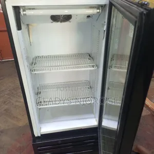 Min-Small Size Display Fridge(100)