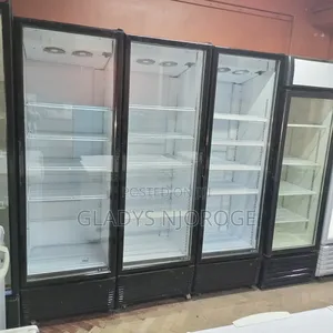 Ex Uk Fregolex Chiller (650l)