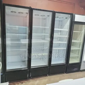 Ex Uk Fregolex Chiller (650l)