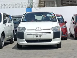 Toyota Succeed 2019 Pearl