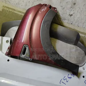 Daihatsu Cast Fender