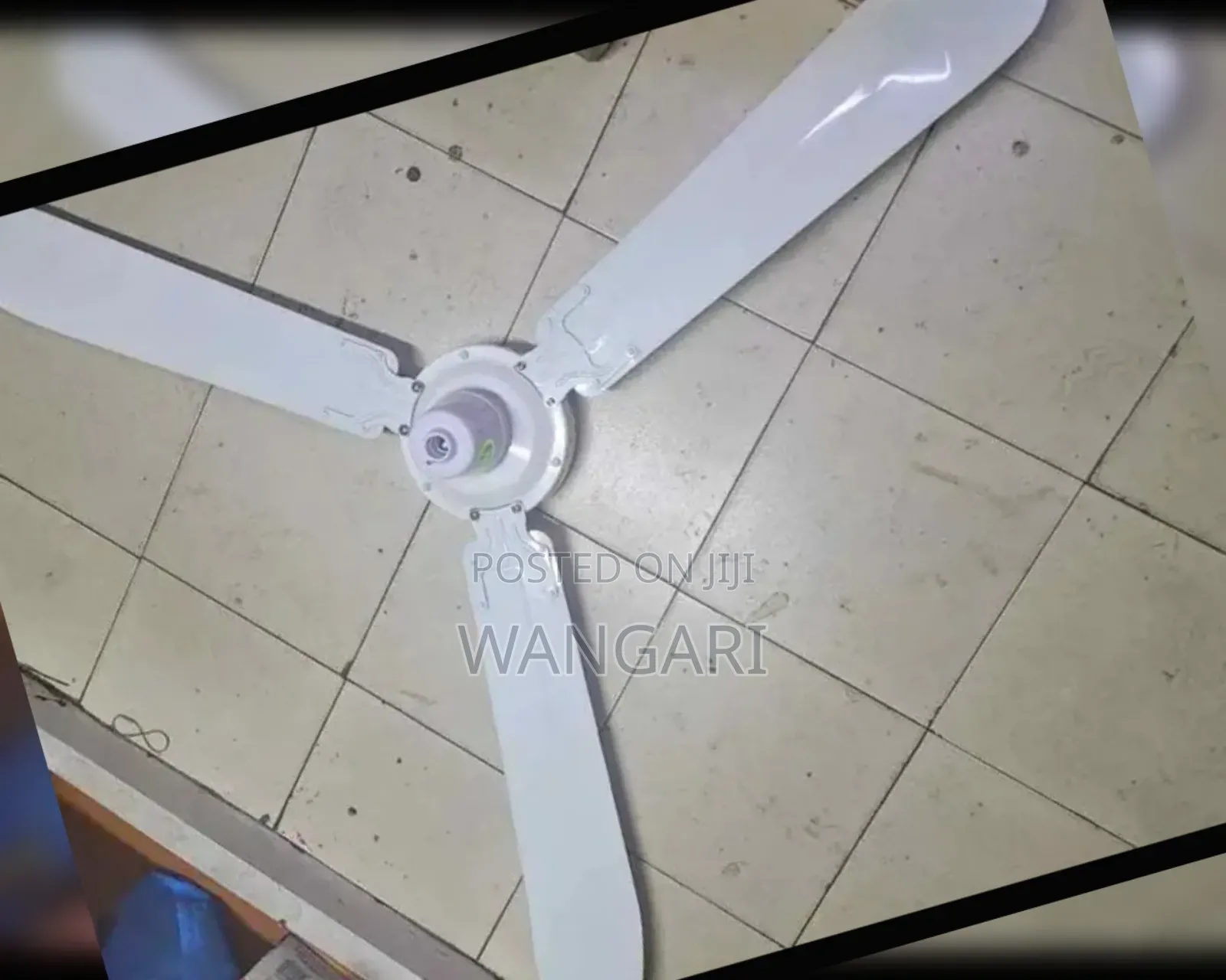 Efficient to Maximum Speed Ceiling Fan, Windser