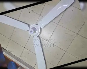 Efficient to Maximum Speed Ceiling Fan, Windser